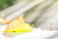 骑行爱好者穿骑行服唱说唱拍MV，运动体验别样精彩